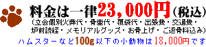 料金は一律23000円